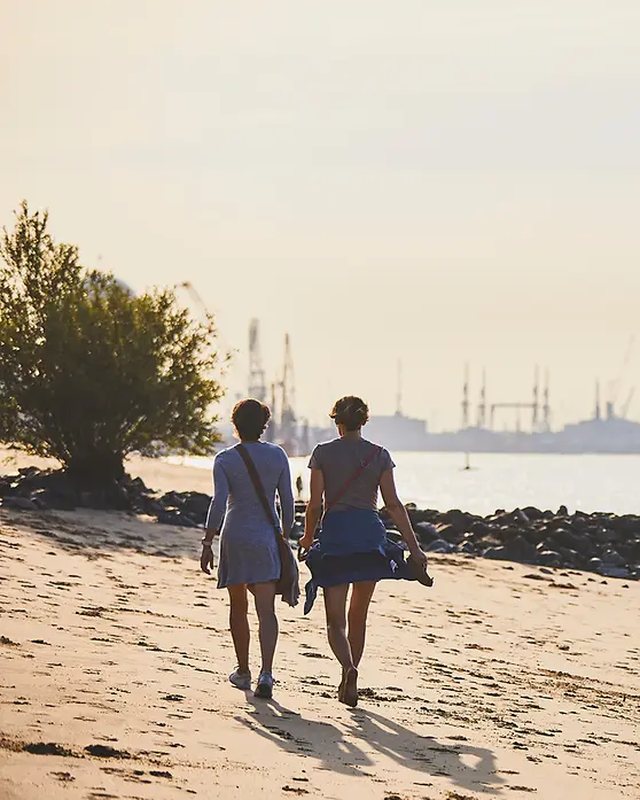 Elbe beach in the evening light with a view of the port